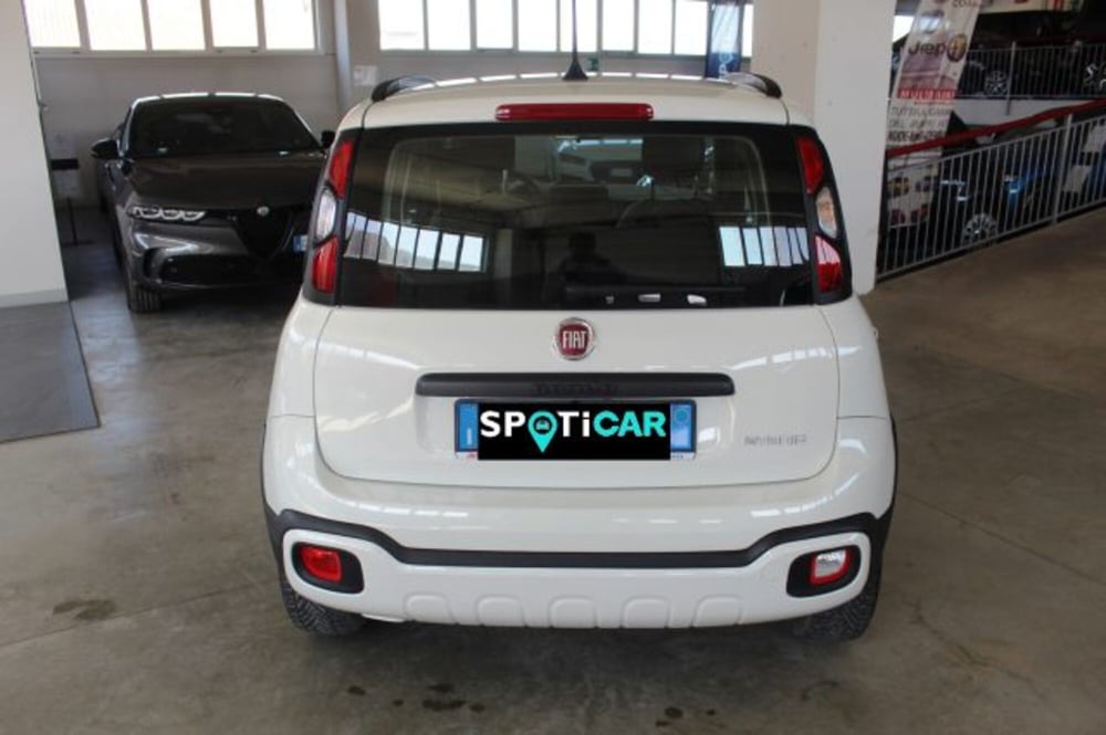 Fiat Panda usata a Terni (5)