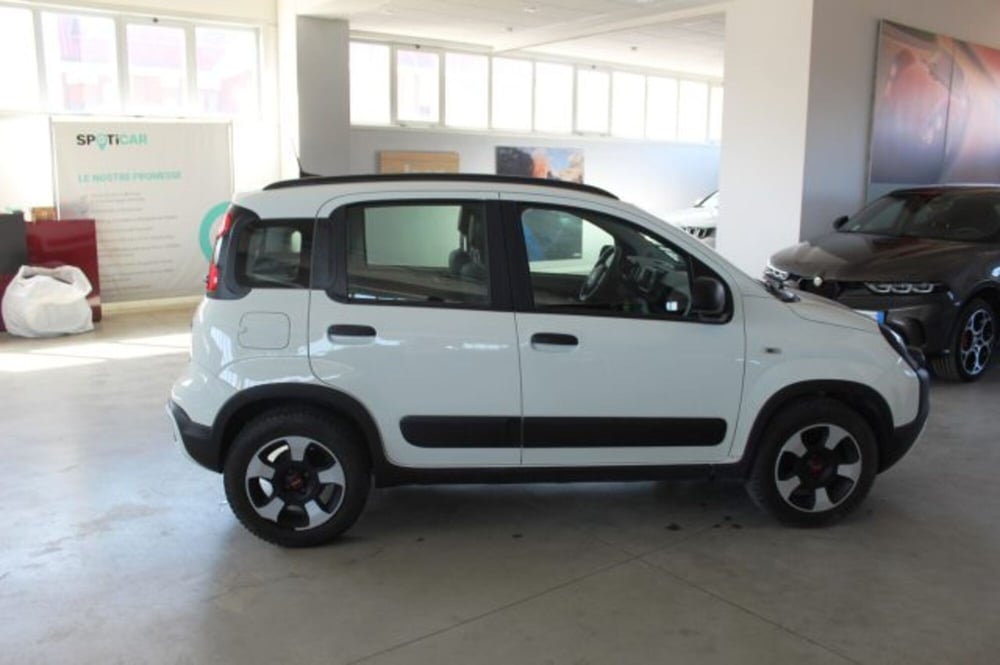 Fiat Panda usata a Terni (6)