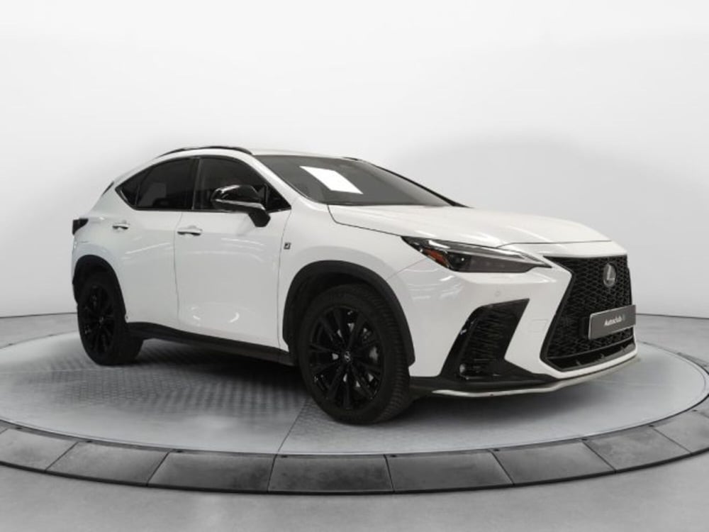 Lexus NX usata a Modena (16)