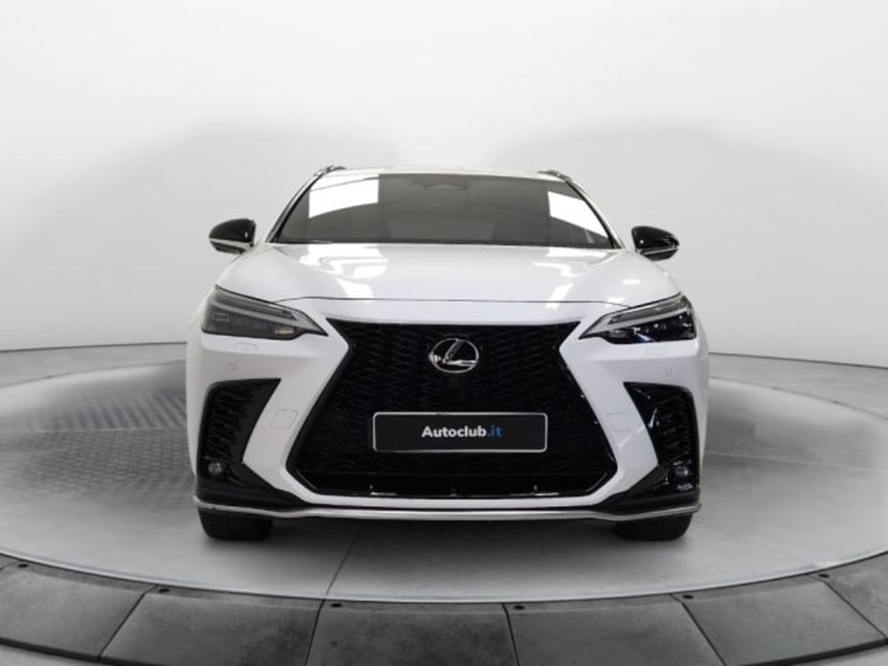 Lexus NX usata a Modena (17)