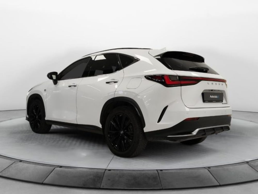 Lexus NX usata a Modena (18)