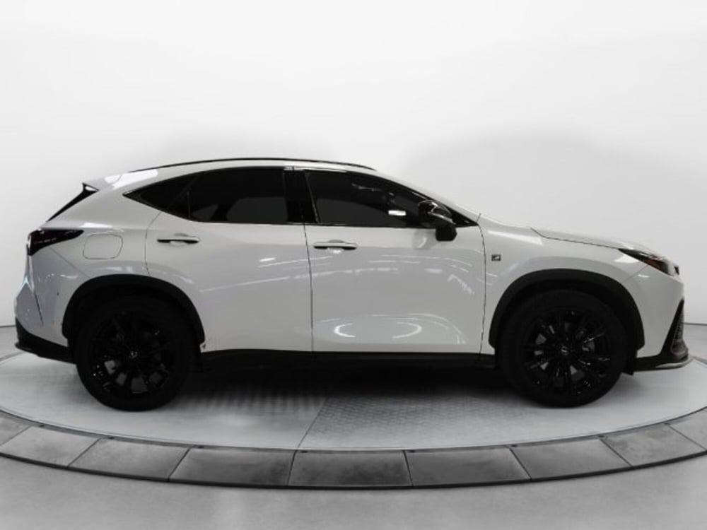 Lexus NX usata a Modena (4)