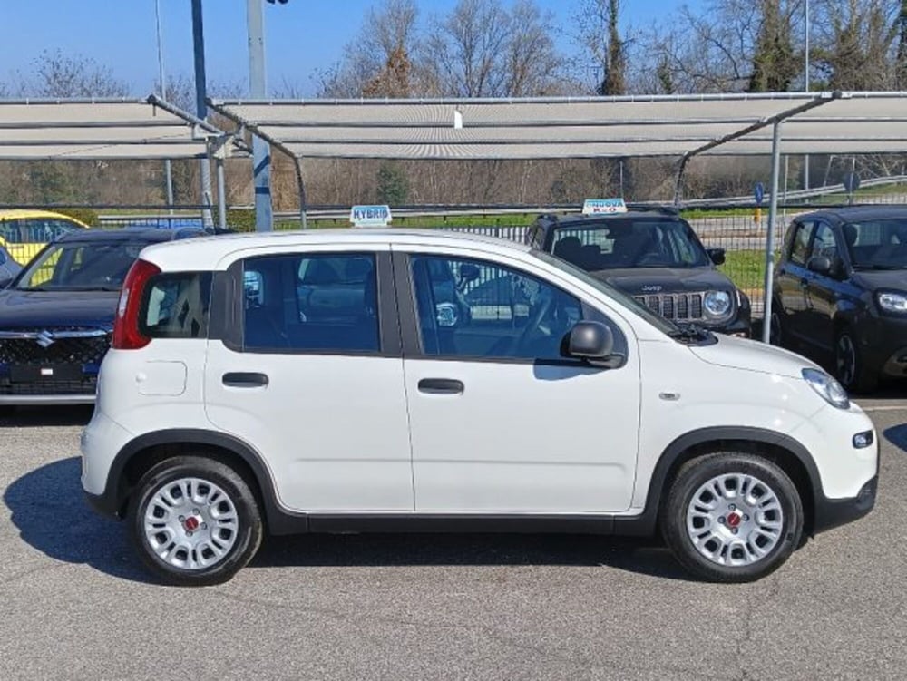 Fiat Panda nuova a Brescia (4)