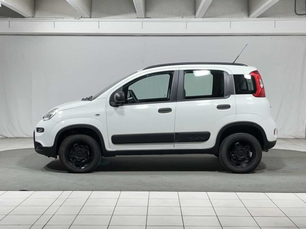 Fiat Panda usata a Sondrio (2)