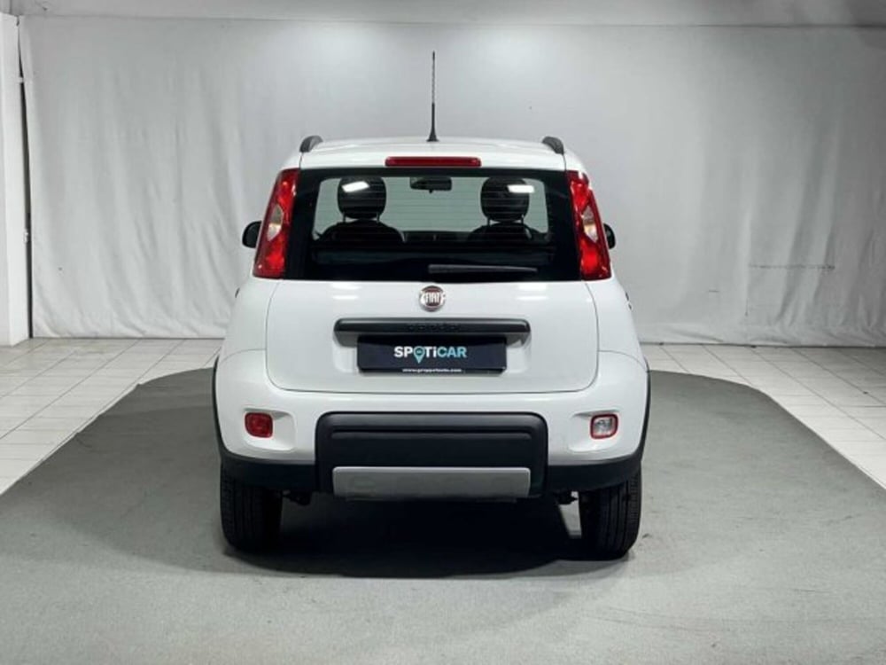 Fiat Panda usata a Sondrio (4)