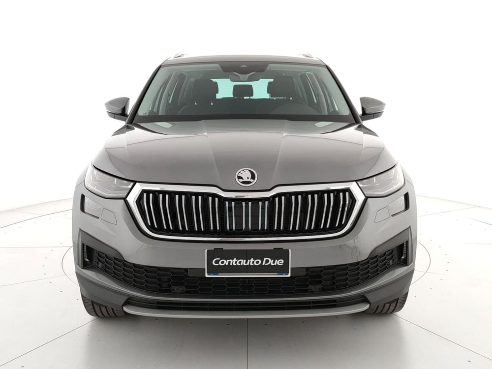 Skoda Kodiaq usata a Caserta (2)