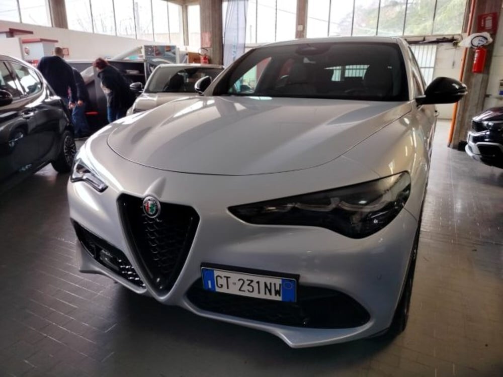 Alfa Romeo Stelvio usata a Forlì-Cesena (2)