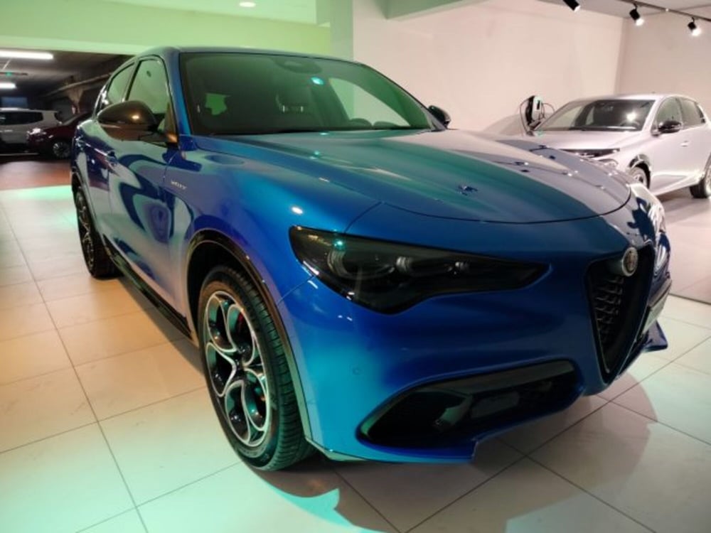 Alfa Romeo Stelvio usata a Forlì-Cesena (5)