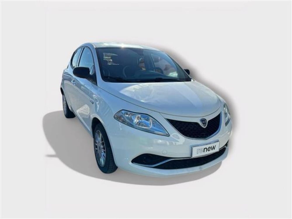 Lancia Ypsilon usata a Livorno (7)