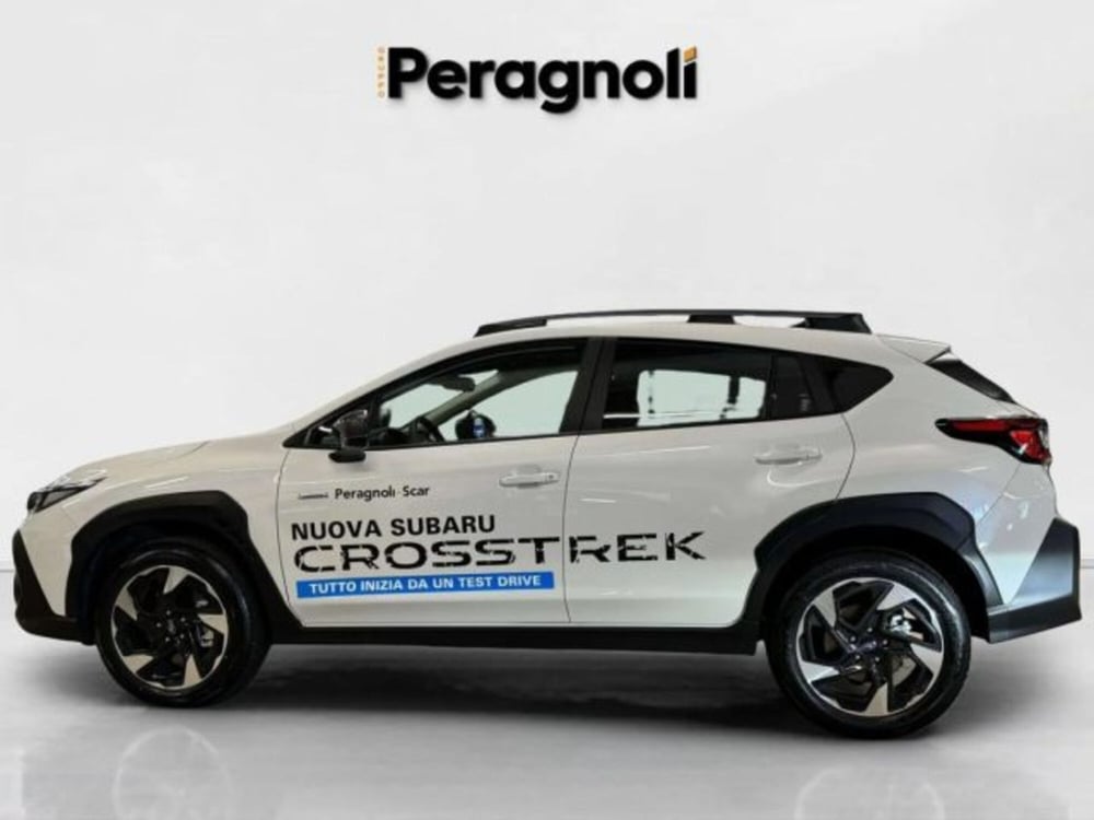 Subaru Crosstrek usata a Firenze (8)