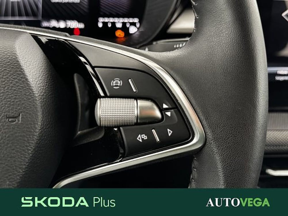Skoda Fabia usata a Vicenza (19)