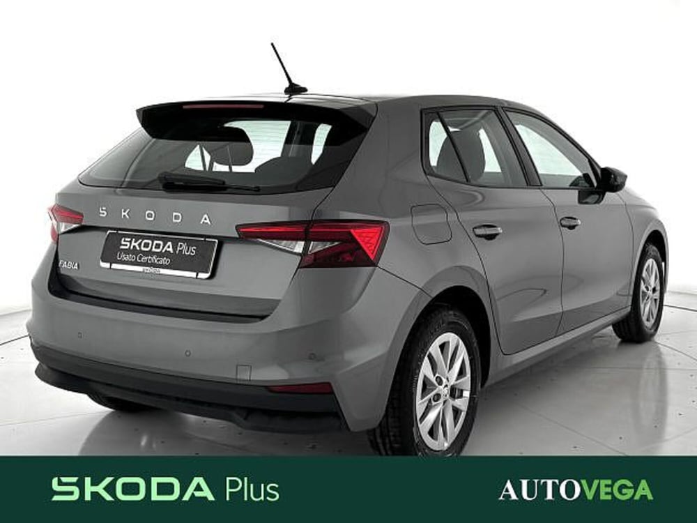 Skoda Fabia usata a Vicenza (3)