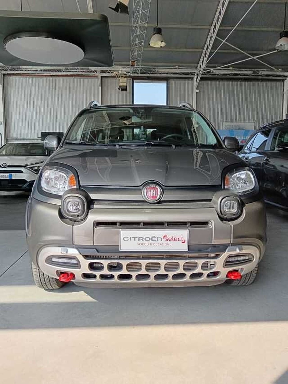 Fiat Panda Cross usata a Savona