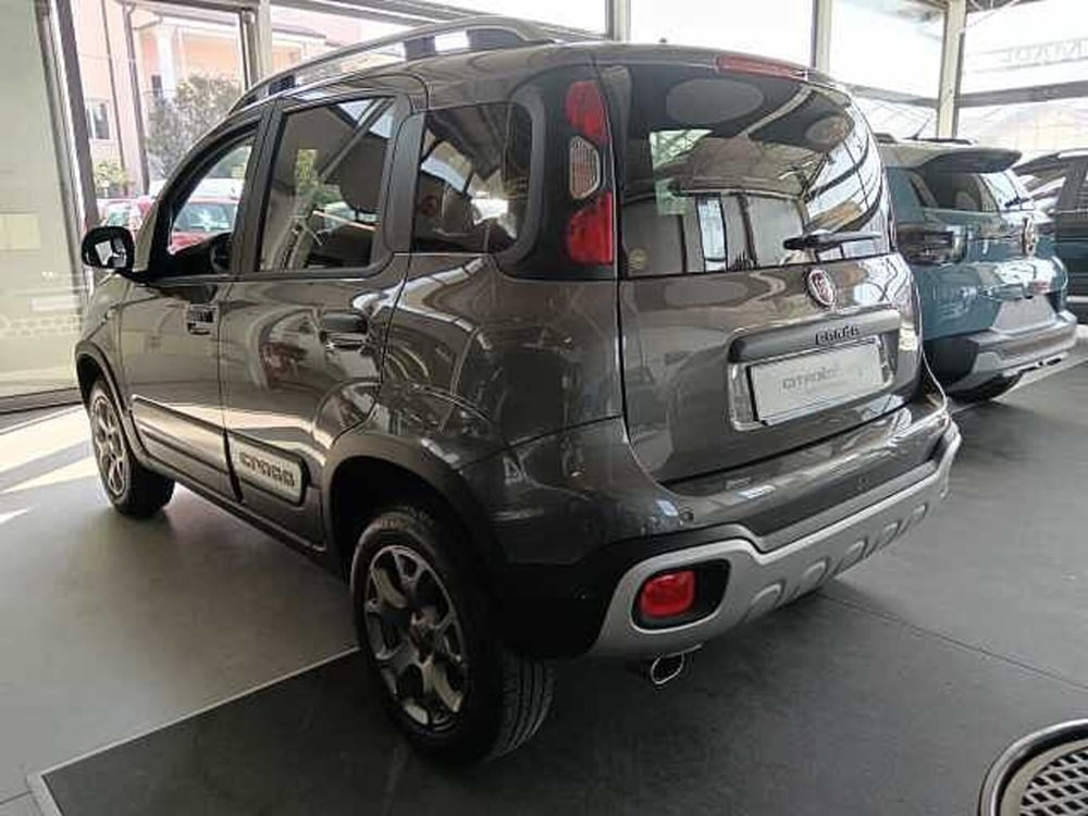 Fiat Panda Cross usata a Savona (5)