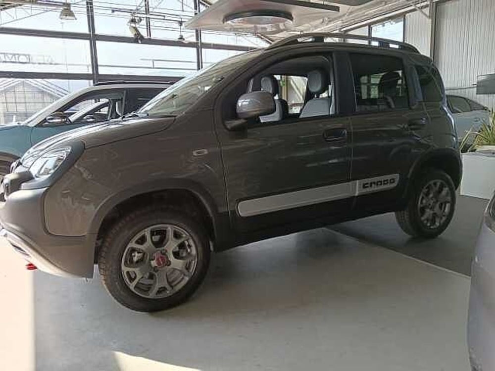 Fiat Panda Cross usata a Savona (6)