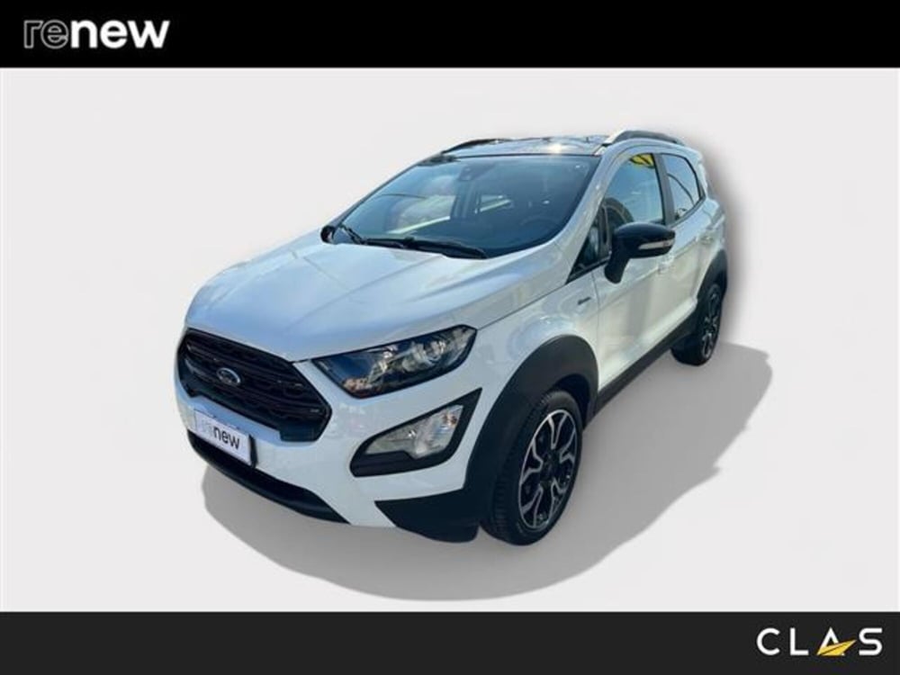 Ford EcoSport usata a Livorno