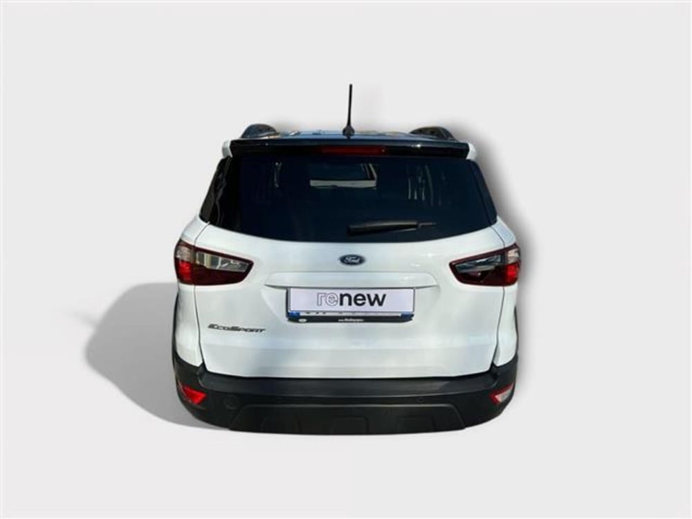 Ford EcoSport usata a Livorno (4)