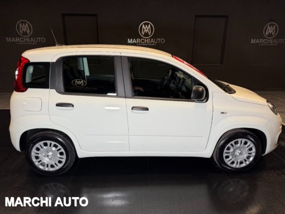 Fiat Panda nuova a Perugia (4)