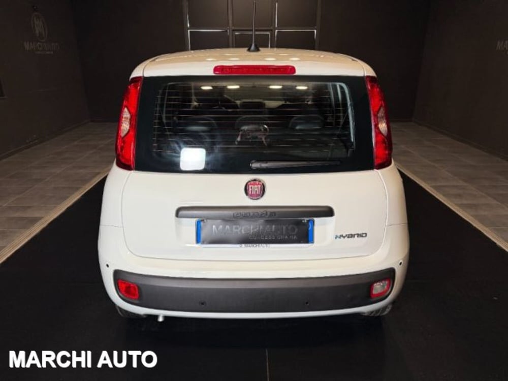 Fiat Panda nuova a Perugia (6)