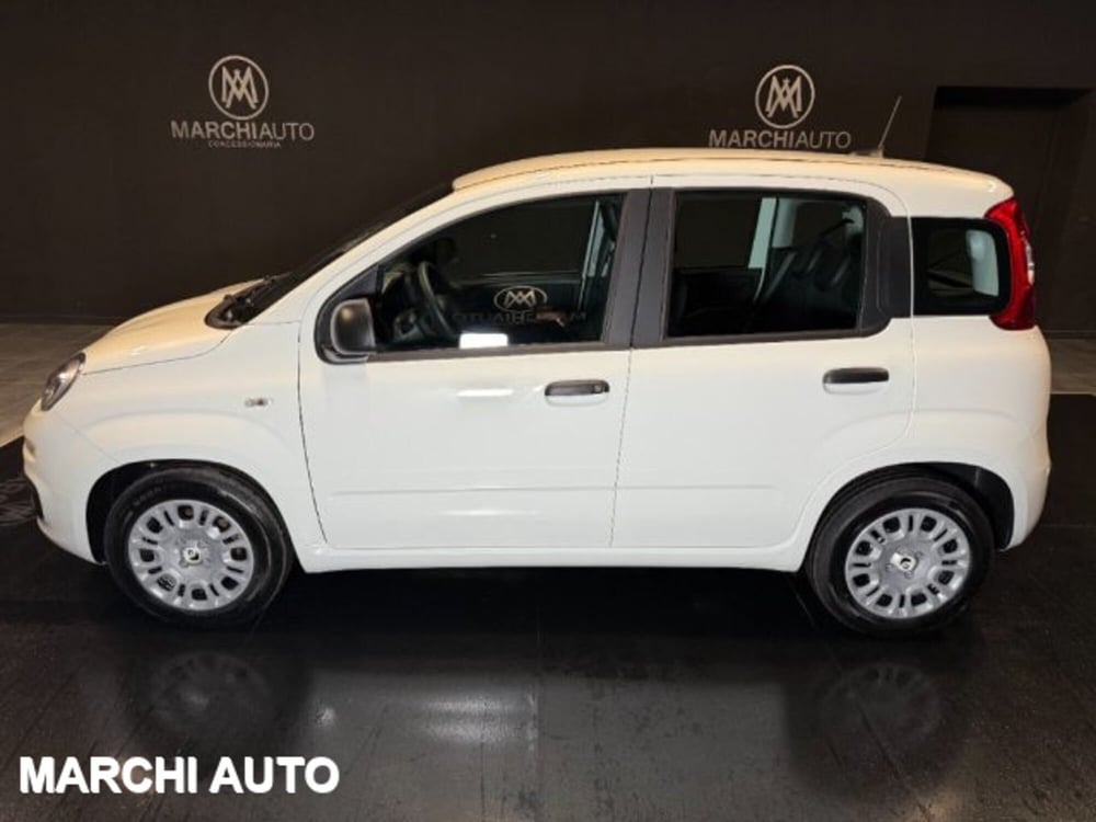 Fiat Panda nuova a Perugia (8)