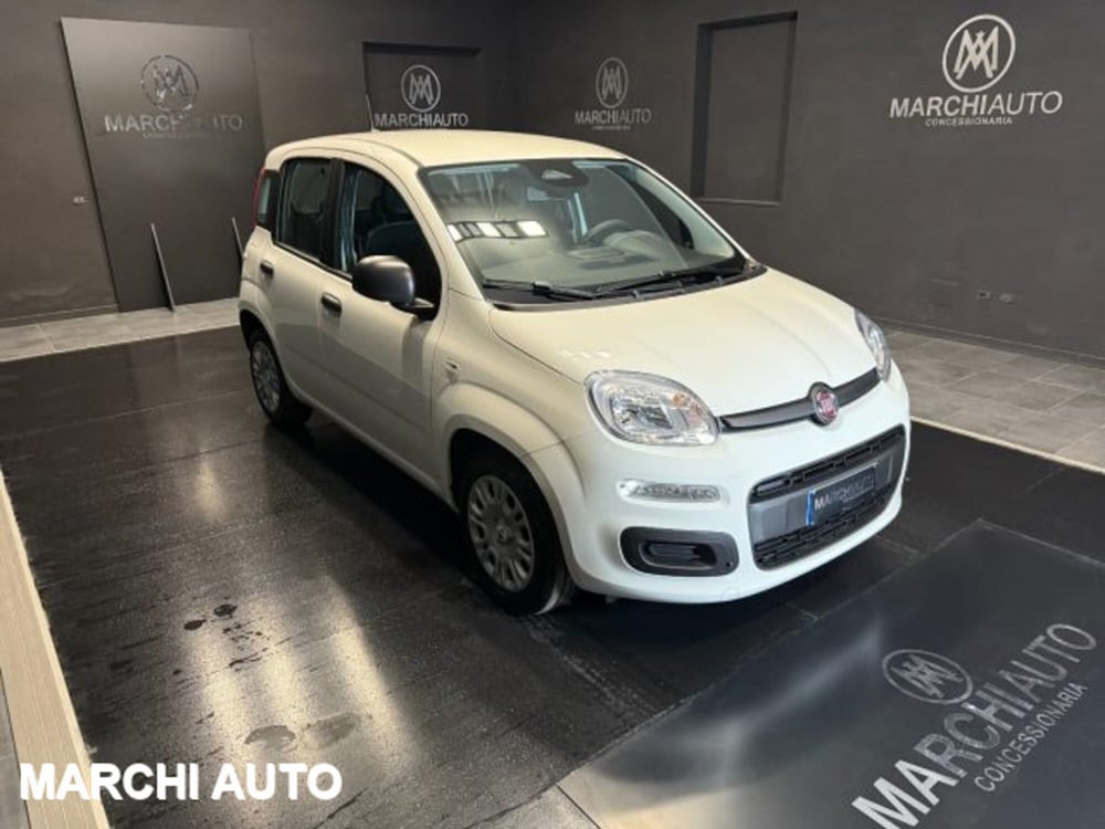 Fiat Panda nuova a Perugia (3)