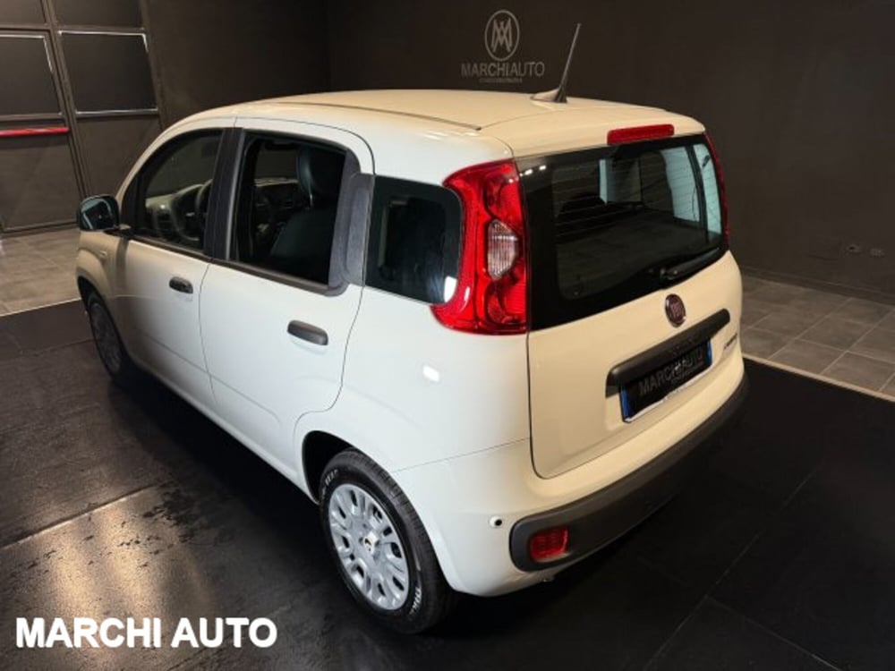 Fiat Panda nuova a Perugia (7)