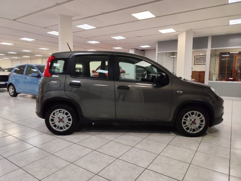 Fiat Panda usata a Torino (4)