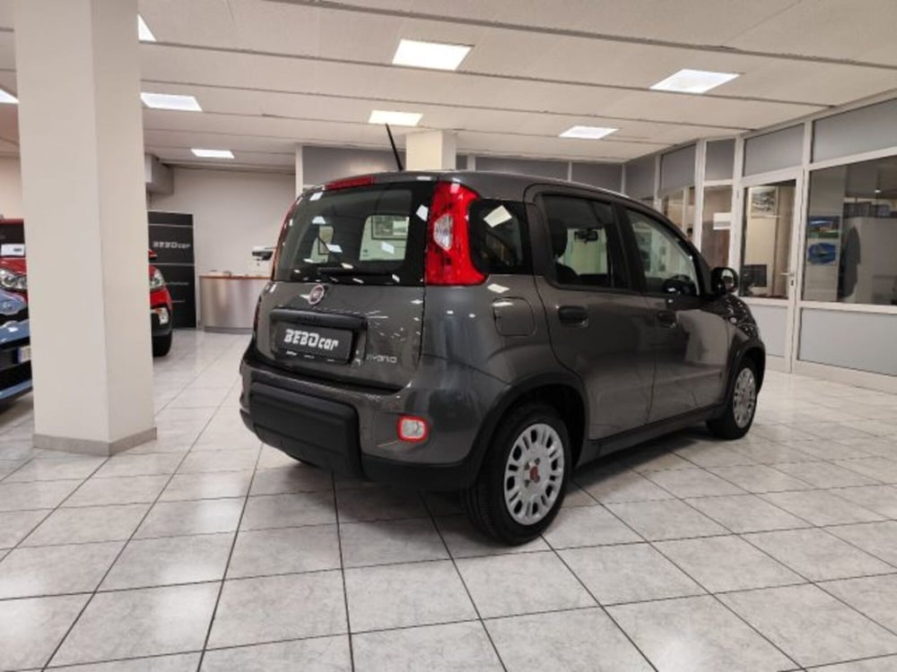Fiat Panda usata a Torino (5)
