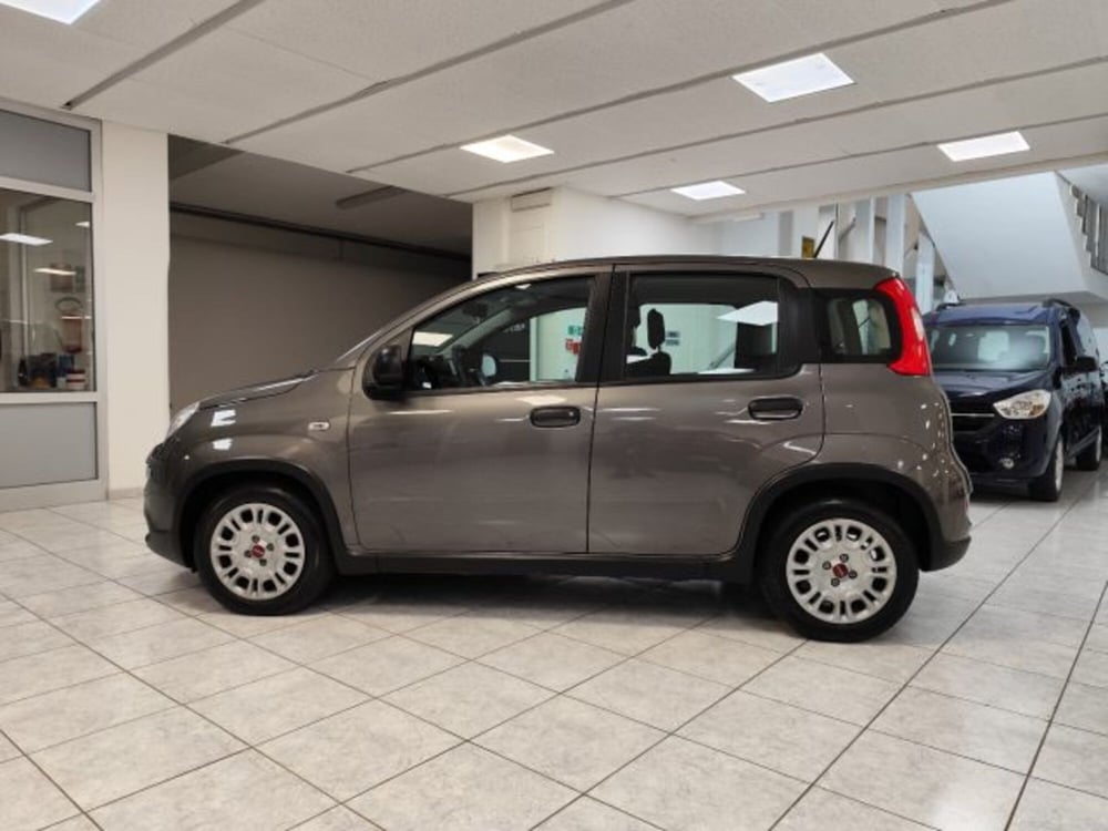 Fiat Panda usata a Torino (9)