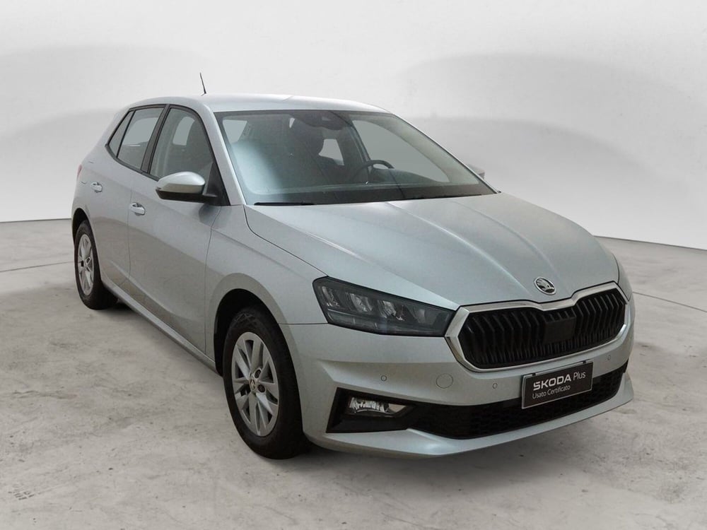 Skoda Fabia usata a Torino