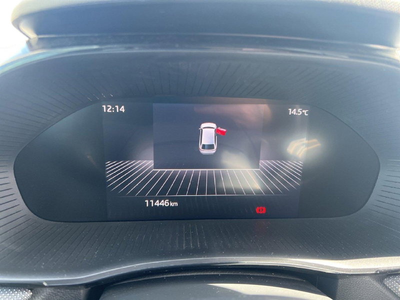 Skoda Fabia usata a Potenza (11)