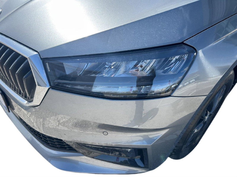 Skoda Fabia usata a Potenza (13)