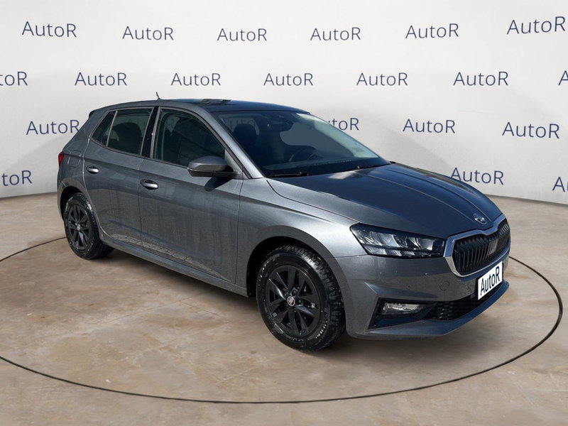 Skoda Fabia usata a Potenza (3)