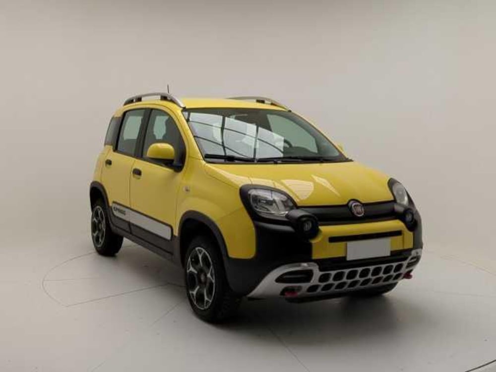 Fiat Panda Cross usata a Avellino