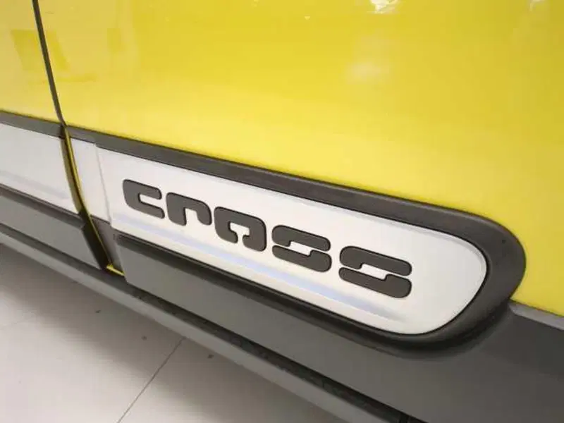 Fiat Panda Cross usata a Avellino (12)