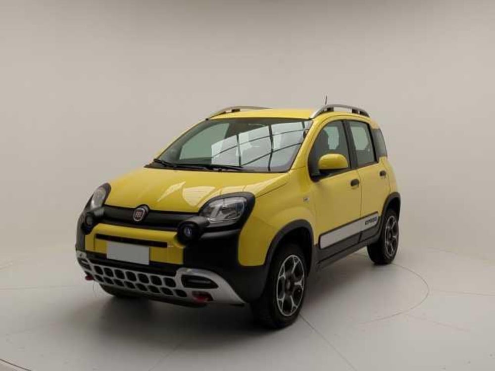 Fiat Panda Cross usata a Avellino (3)