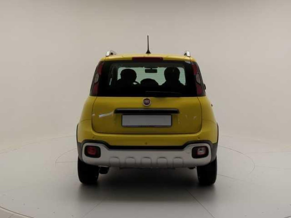 Fiat Panda Cross usata a Avellino (6)