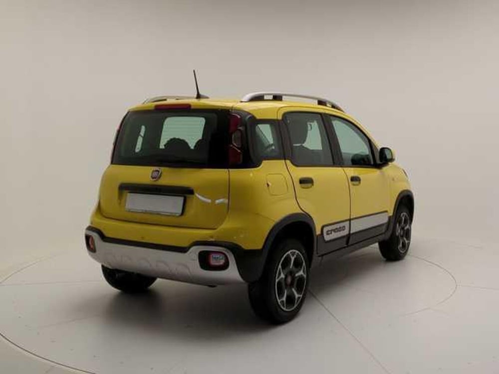 Fiat Panda Cross usata a Avellino (7)