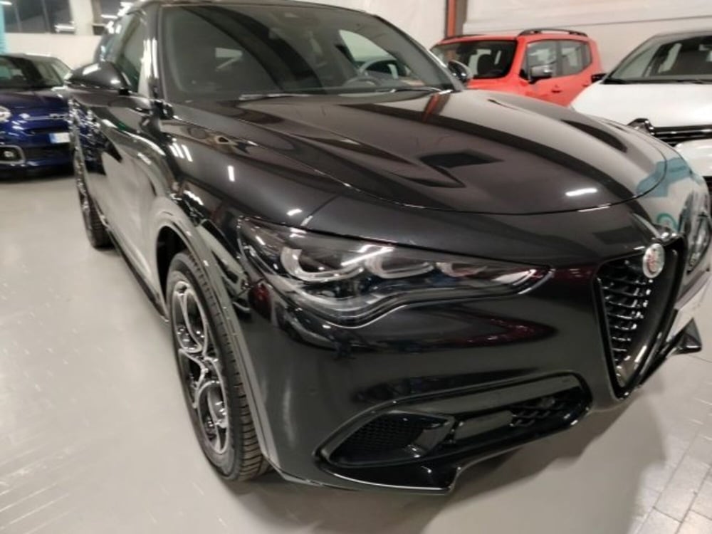 Alfa Romeo Stelvio usata a Forlì-Cesena (3)