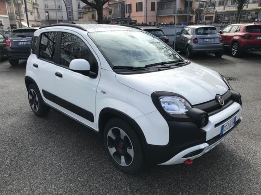 Fiat Panda Cross usata a Cuneo (8)