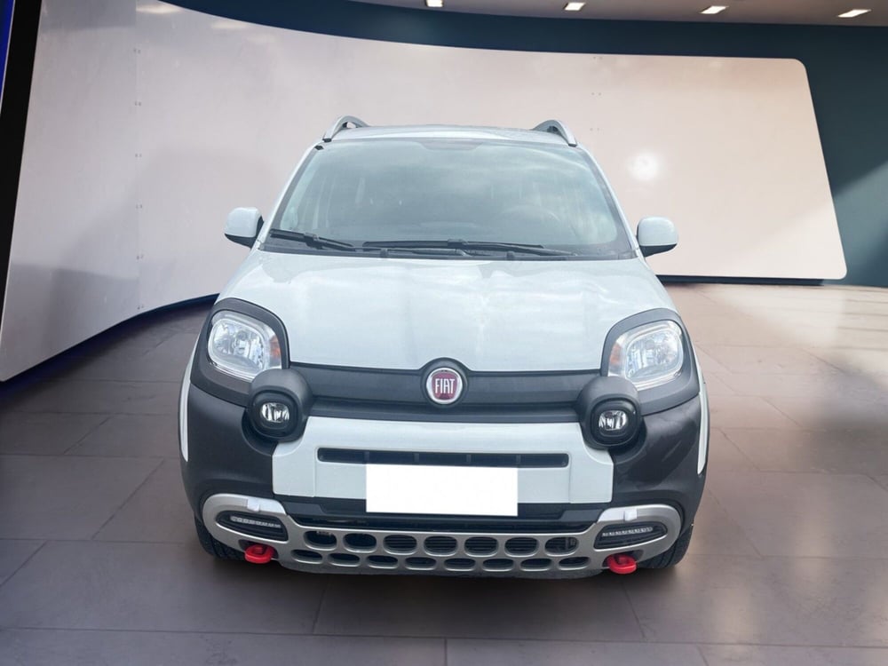 Fiat Panda usata a Torino