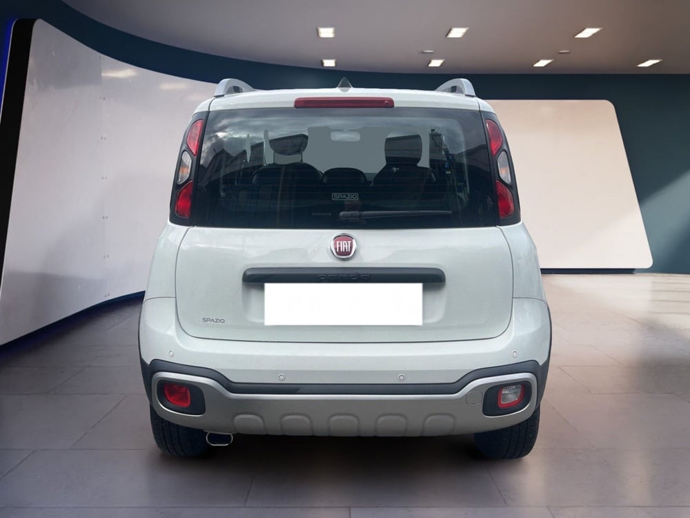 Fiat Panda usata a Torino (6)