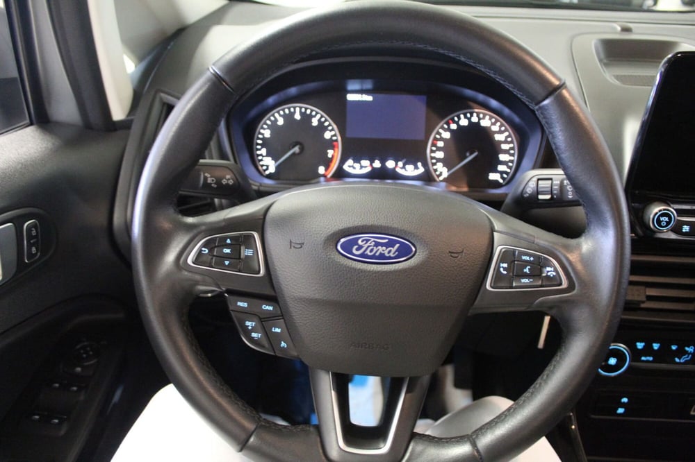 Ford EcoSport usata a Cremona (10)