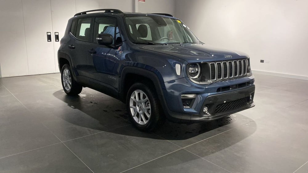 Jeep Renegade usata a Bergamo (5)