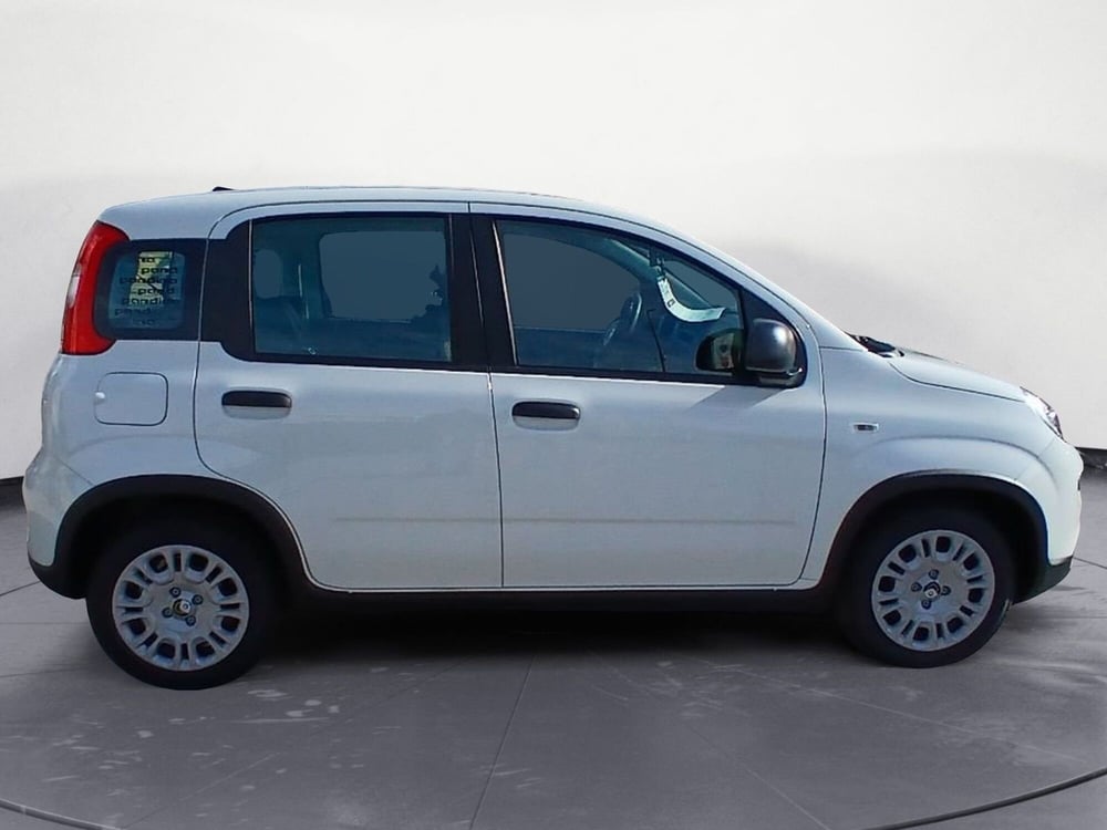 Fiat Panda Cross nuova a Brindisi (7)