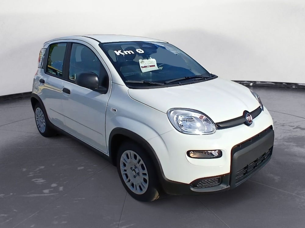 Fiat Panda Cross nuova a Brindisi (8)