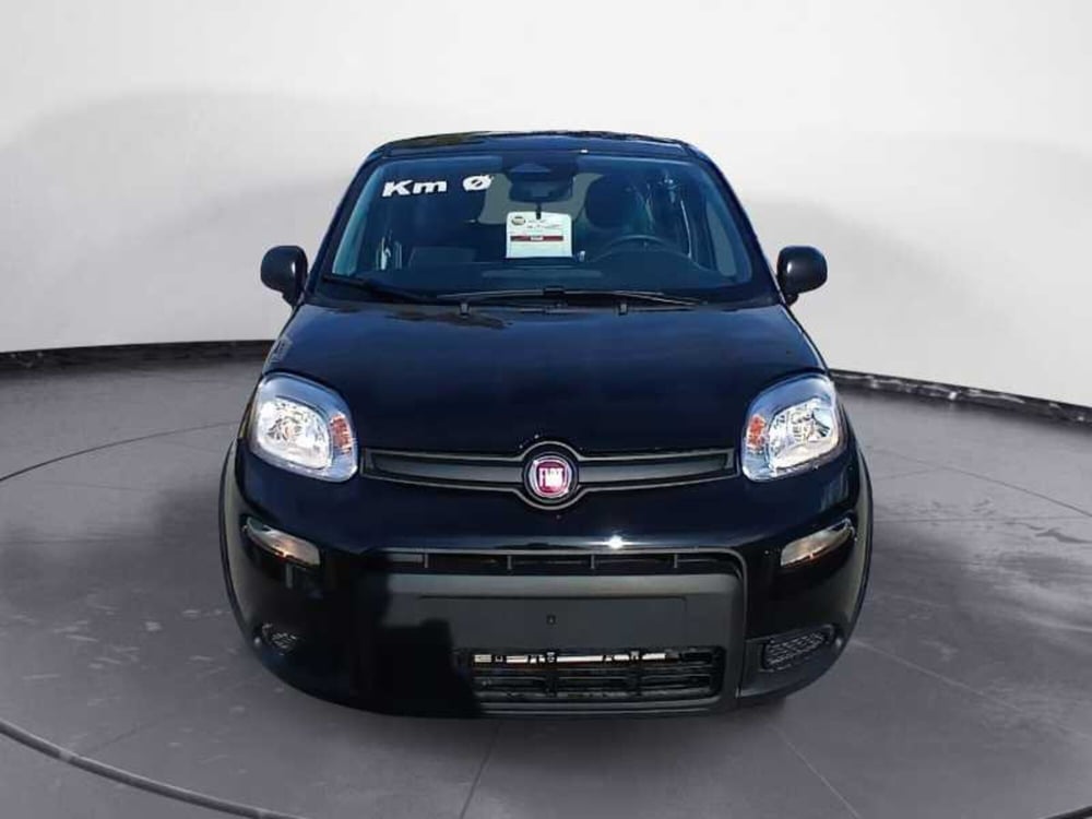 Fiat Panda Cross nuova a Lecce (18)