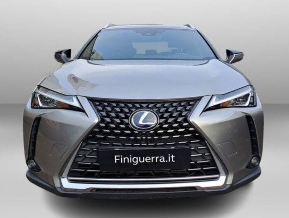 Lexus UX usata a Lecco (2)