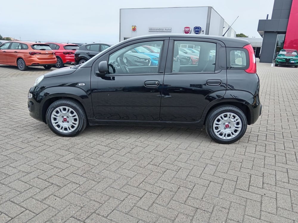 Fiat Panda Cross usata a Alessandria (8)