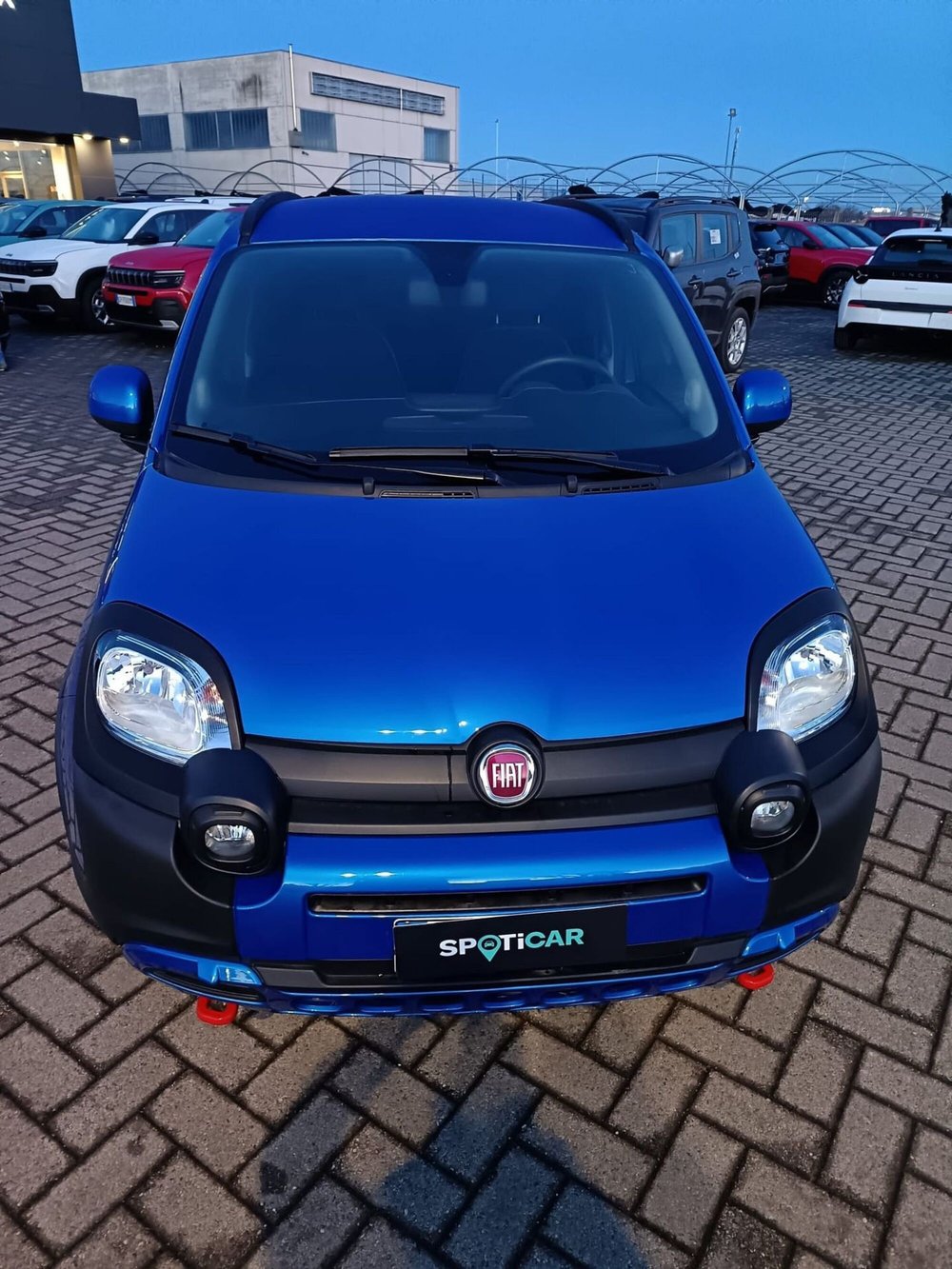 Fiat Panda Cross usata a Alessandria (2)